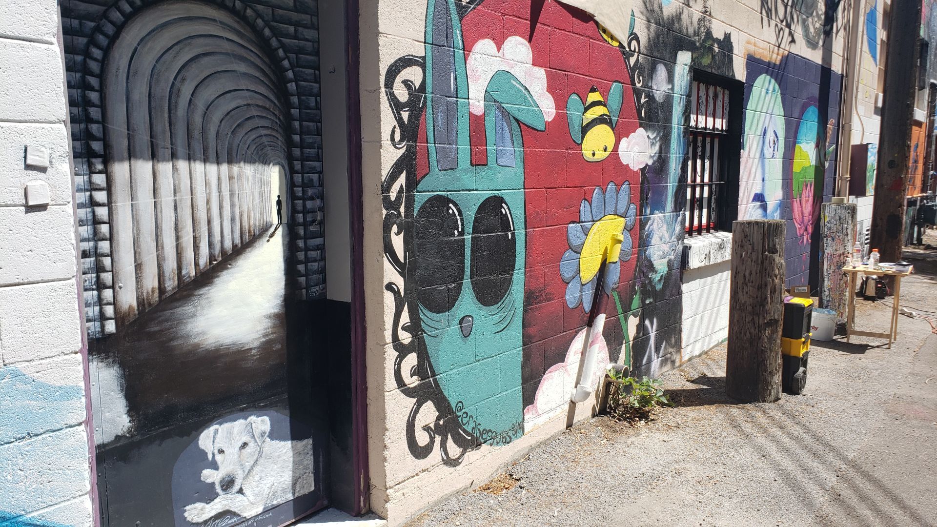 Old Town Alley Outdoor Gallery 2020 (tunnel)